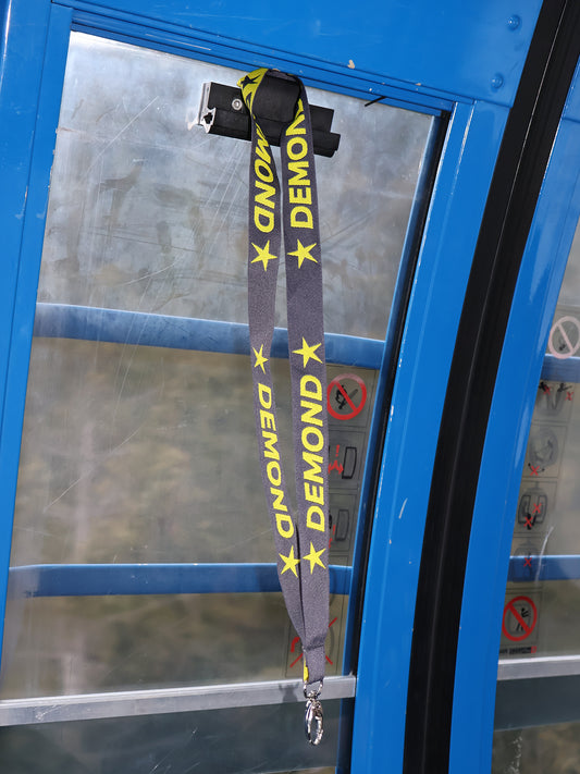 DEMOND Keychain Grau